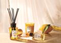 Luxury Reed Diffusers: A Symphony of Elegance, Fragrance, and Style