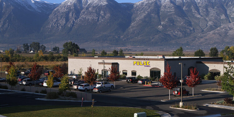 Pulse Stream Daily Review – Your Premier News & Magazine Hub for the Latest Updates and Entertainment