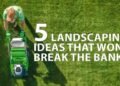 5 Landscaping Ideas That Won’t Break the Bank