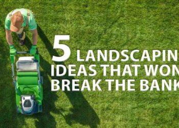 5 Landscaping Ideas That Won’t Break the Bank