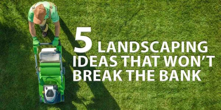 5 Landscaping Ideas That Won’t Break the Bank