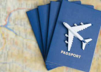 INDIAN VISA FOR LIECHTENSTEINER CITIZENS and INDIAN VISA FOR LITHUANIAN CITIZENS