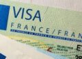 Guide to Obtaining a Visa for New Zealand and Norwegian