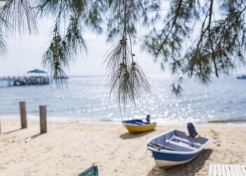 Applying for a Canada Visa as a Citizen of New Zealand or Finland