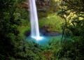How to Obtain a New Zealand Visa as a Bulgarian or Chile Citizen