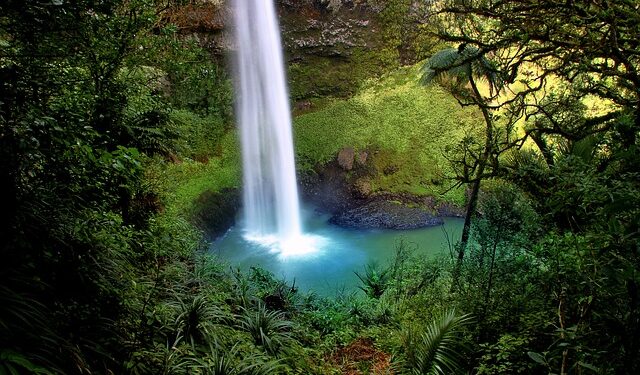 How to Obtain a New Zealand Visa as a Bulgarian or Chile Citizen