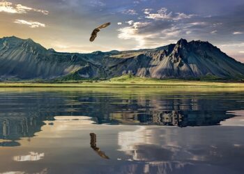 New Zealand Visa for Croatian and Estonian Citizens!