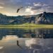 New Zealand Visa for Croatian and Estonian Citizens!