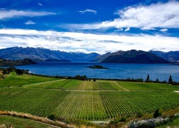 A Complete Guide on Visa for Manganese and Maltese Citizens