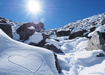 New Zealand Visa Now Available for Mauritian and Canadian Citizens