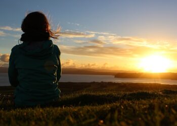 Breaking Down the New Zealand Visa Application Maze