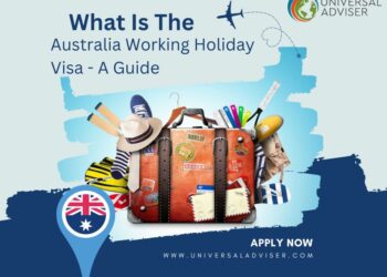 Navigating the Indian Visa Process A Guide for Malian and Maltese Citizens