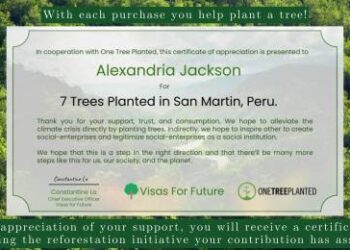 Navigating Transit Visa Procedures for Turkey and Understanding the Turkey Visa Process for Mexican Citizens