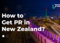 Unlocking New Zealand Visa Insights for Cypriot and Danish Citizens