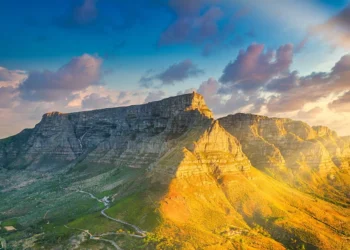 Indian Visa Journey for South African and South Korean Citizens