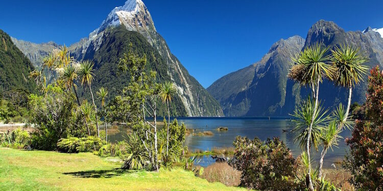 New Zealand Visa Requirements for Korean Citizens