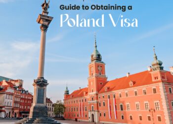 American Visa Process