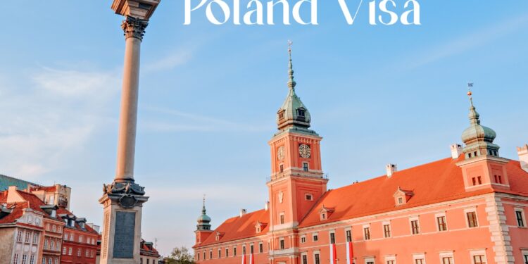 American Visa Process