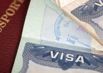 Indian Visa Application Guide for Ukrainian and Qatari Citizens