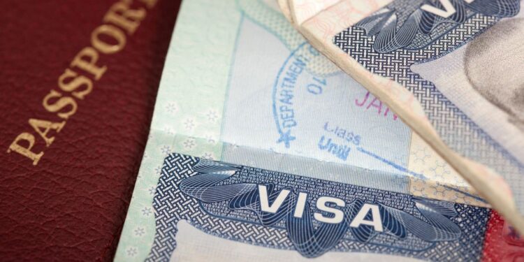 Indian Visa Application Guide for Ukrainian and Qatari Citizens