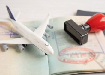 Indian Visa Application Guide for Ukrainian and Qatari Citizens