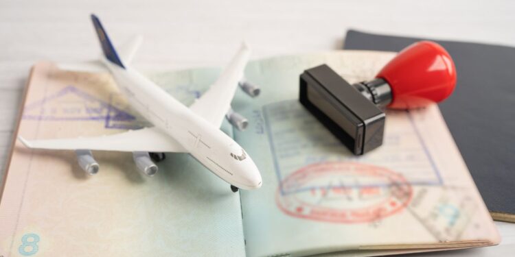 Indian Visa Application Guide for Ukrainian and Qatari Citizens