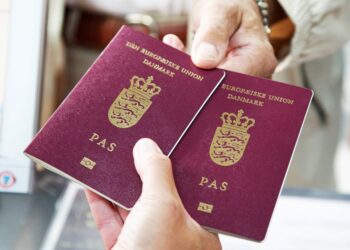 Demystifying Vietnam Visas for Danish and Estonian Citizens Application, Requirements, and Travel Insights