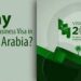 Navigating Business Ventures A Guide to Saudi Business Visa Applications for Kuwaiti Citizens