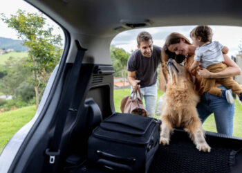 Understanding Indian Visa Photo and Passport Regulations