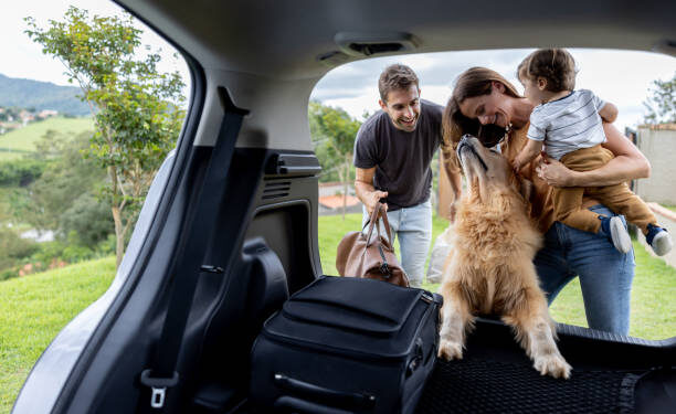 Understanding Indian Visa Photo and Passport Regulations