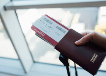 Understanding the Different Types of Indian eVisa