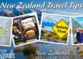 New Zealand Itinerary Tips