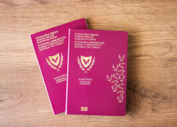 Navigating the Indian Visa Process: A Comprehensive Guide for Brunei and Cypriot Citizens