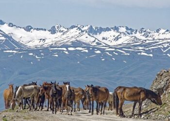 A Guide to Indian Visa for Citizens of Kyrgyzstan