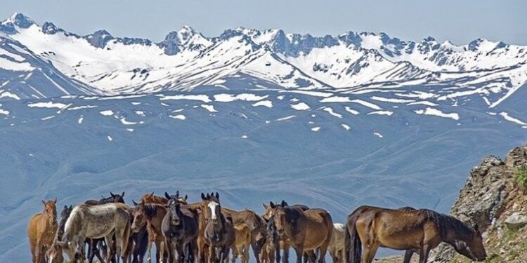 A Guide to Indian Visa for Citizens of Kyrgyzstan