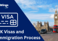Navigating the Indian Visa Process A Comprehensive Guide for Romanian and Russian Citizens