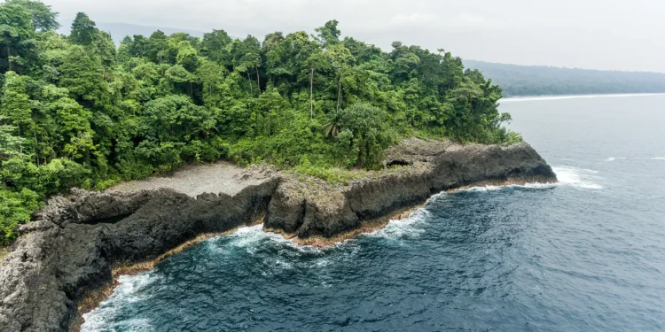 Gateway to Turkey: Streamlining Visa Processes