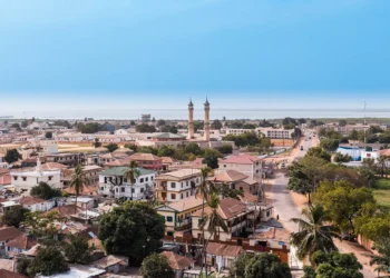 India Visa Guidelines for Gabon and Gambia Citizens