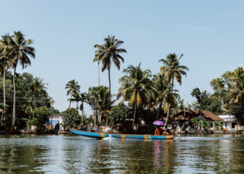 Indian Visa Application Process for South African Citizens