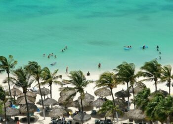 Indian Visa Process for Aruba and Bahamas Citizens