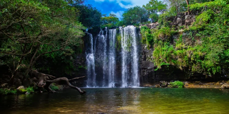 Indian Visa for Citizens of Lesotho and Liberia