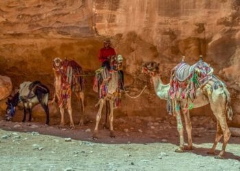 Indian Visas for Citizens of Jordan and Kazakhstan
