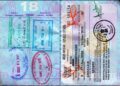 A Step-by-Step Guide Indian Visa Application for Chilean Citizens and Special Considerations for Traveling with Children