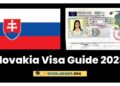 Navigating the Indian Visa Process A Comprehensive Guide for Slovak and Saudi Citizens