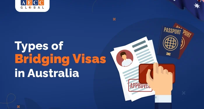 Bridging Continents: A Guide to Obtaining a New Zealand Visa from the UK and Argentina