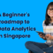 A Beginner’s Roadmap to Data Analytics in Singapore