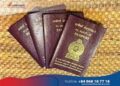 Visa