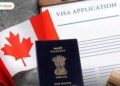 Navigating the Indian Visa Process A Comprehensive Guide for Cameroon and Canada Passport Holders