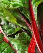 Optavia Vegetable Conversion