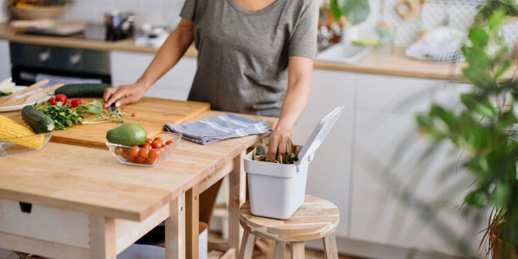 Renting and Sustainable Living: Eco-Friendly Practices for Tenants